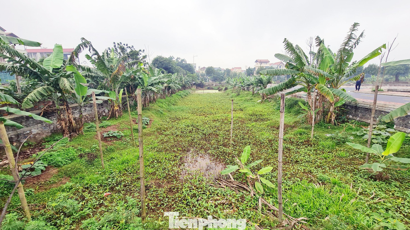 Kết luận chỉ rõ, trong số 48 thửa đất đã trúng đấu giá có 22 thửa thực hiện bán đấu giá theo đúng quy định của pháp luật; 22 thửa đất còn lại, Công ty đấu giá hợp danh Đông Á đã cho người không đủ điều kiện đấu giá tham gia đấu giá; 4 thửa khác không đủ điều kiện đưa ra bán đấu giá.