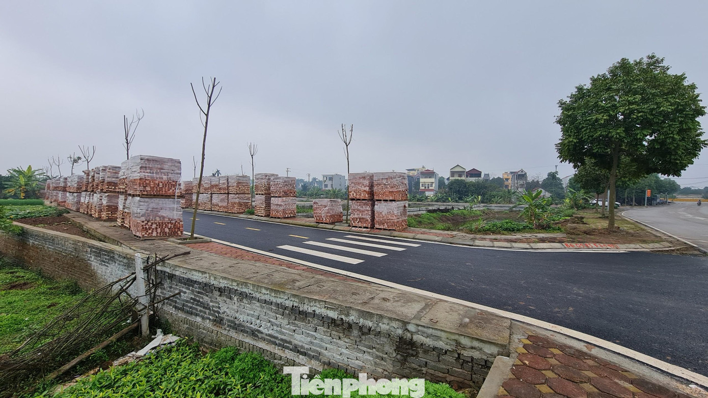 Một vị chuyên gia cho rằng, đối với 26 lô đất phía Cục Bổ trợ tư pháp yêu cầu hủy kết quả đấu giá cơ quan chức năng cần có biện pháp ngăn chặn để tránh việc chuyển nhượng, mua bán tùm lum sẽ khó khăn trong việc khắc phục, xử lý vi phạm.