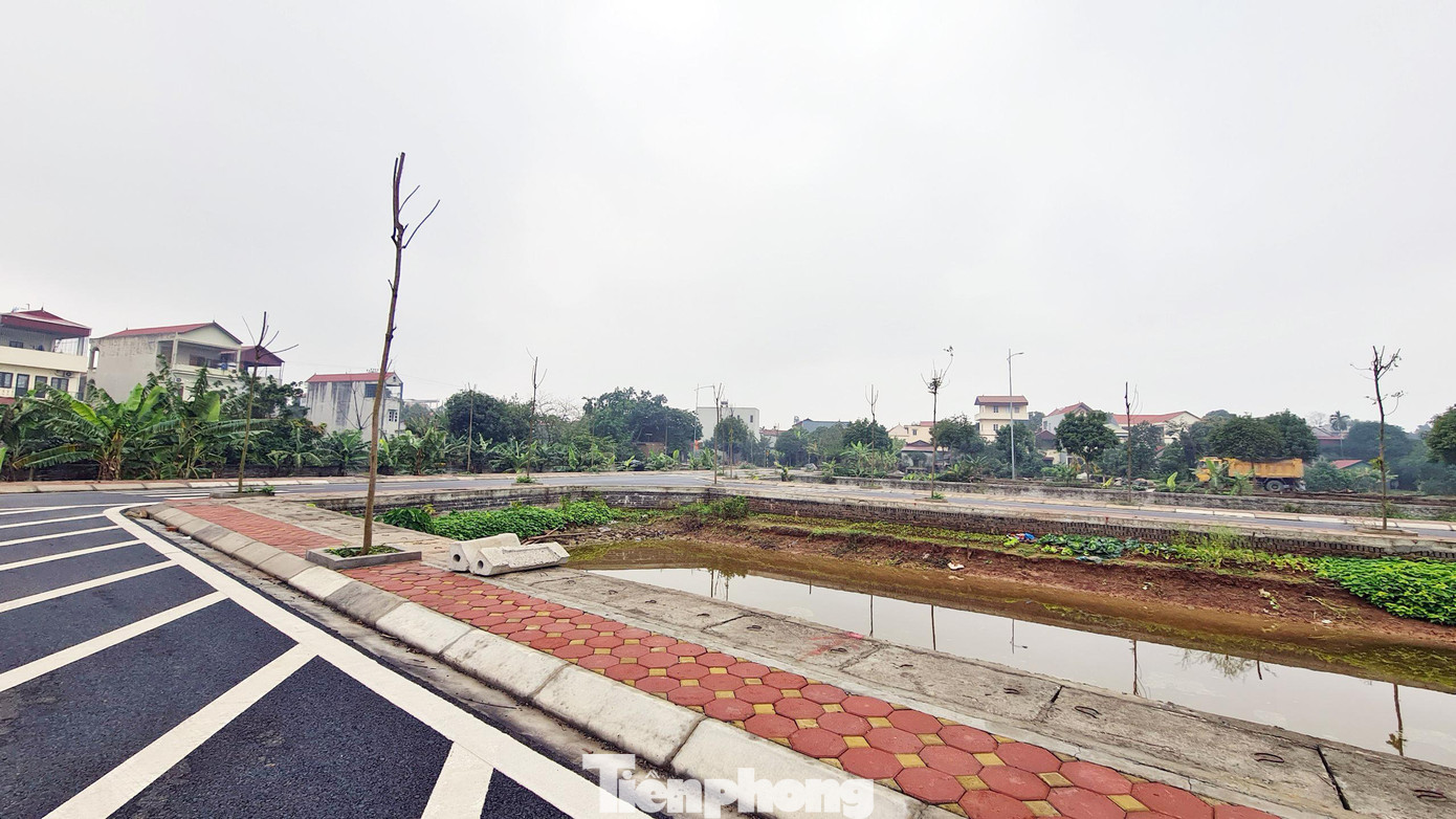 Được biết, khu đất đấu giá tại khu chăn nuôi, xã Đồng Tháp (huyện Đan Phượng) có diện tích gần 3.400m2, được chia làm 48 lô đất với diện tích khoảng 70m2/lô. Giá khởi điểm đấu giá là 20-24 triệu đồng/lô. Giá trúng đấu giá khoảng 30-40 triệu đồng/lô.