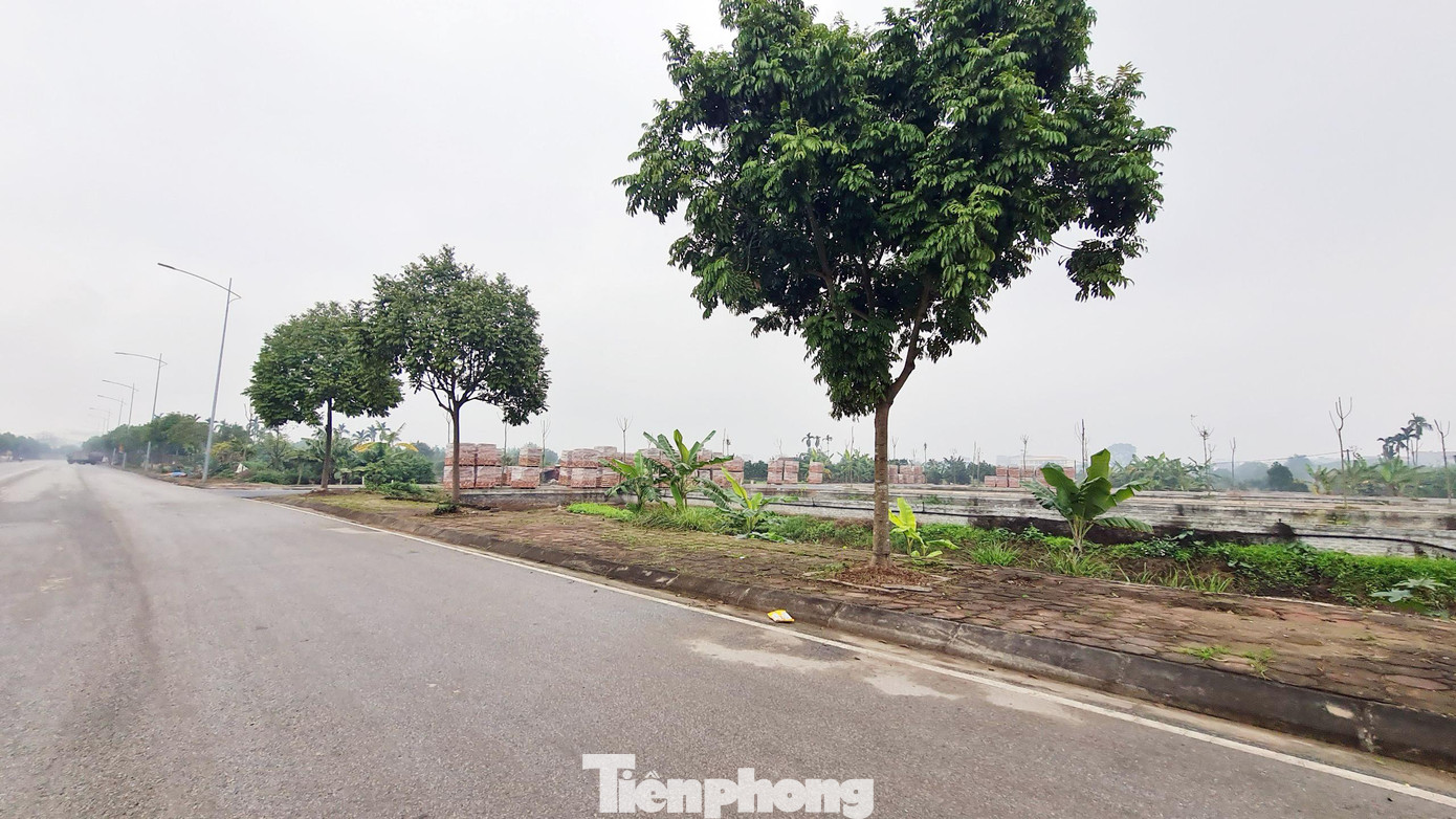 Cục này còn kiến nghị UBND TP Hà Nội xem xét trách nhiệm của UBND huyện Đan Phượng ban hành phương án đấu giá đất vi phạm quy định Luật đấu giá tài sản.