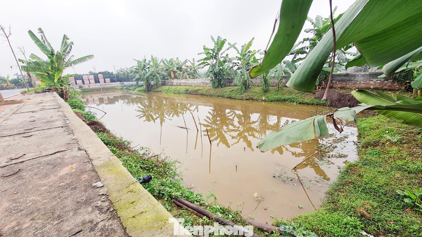 Ngoài ra, công ty nêu trên không trực tiếp bán hồ sơ đăng ký tham gia đấu giá, không trực tiếp thu tiền bán hồ sơ cũng như không tiếp nhận hồ sơ đăng ký tham gia đấu giá, vi phạm quy định tại Điều 38 Luật Đấu giá tài sản.