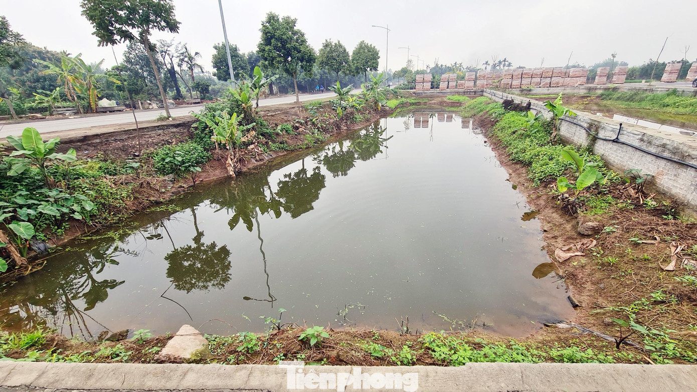 Tuy nhiên, các lô đất đấu giá vẫn chỉ là các ao trũng, là nơi người dân tận dụng trồng chuối, trồng rau..., chưa được lấp mặt bằng, chưa có hệ thống đèn chiếu sáng.