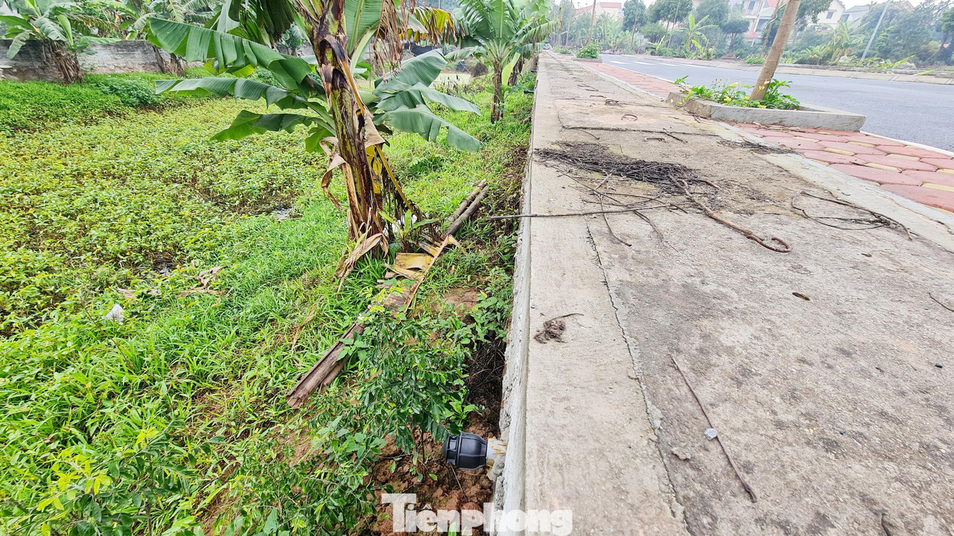 Như vậy, chỉ sau mấy tháng trúng đấu giá, các lô đất tại đây đang được rao bán, đẩy giá cao từ 10-20 triệu đồng/m2 so với giá trúng đấu giá.