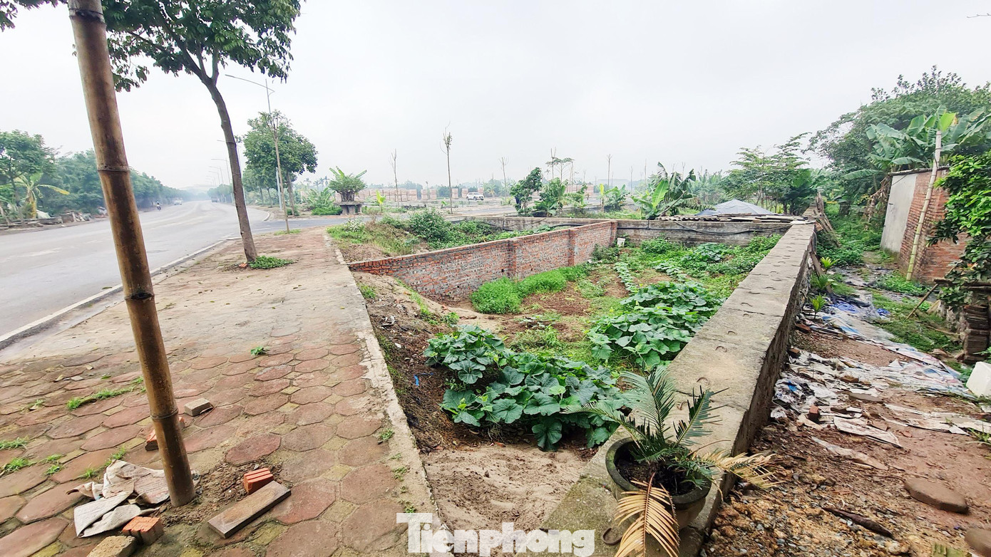 Theo kết luận thanh tra, ngày 25/9/2021 đã diễn ra cuộc đấu giá đối với 48 thửa đất theo thứ tự các lô đất là: Lô C =&gt; Lô H =&gt; Lô D =&gt; Lô B =&gt; Lô K =&gt; Lô J =&gt; Lô I =&gt; Lô G =&gt; Lô E =&gt; Lô F =&gt; Lô M =&gt; Lô A với sự tham gia của 76 khách hàng.