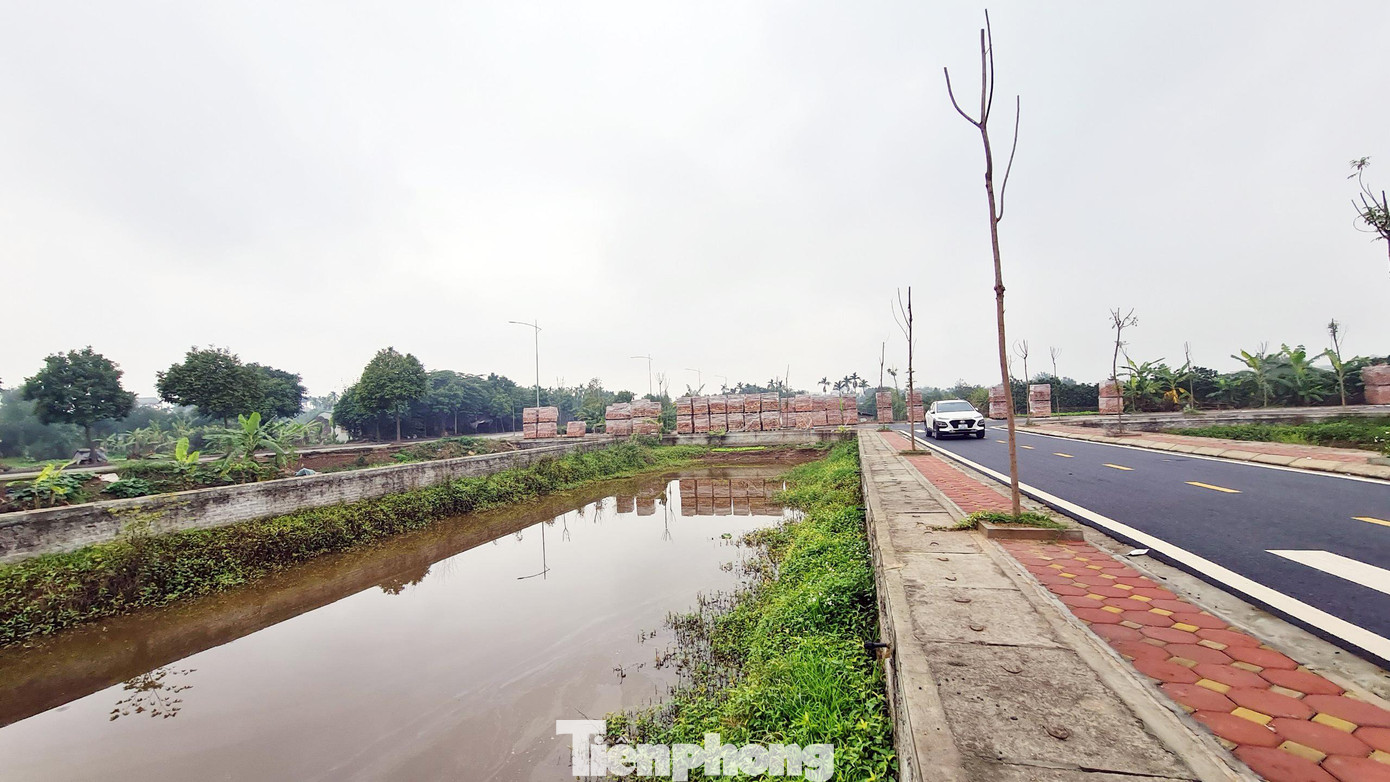Cục Bổ trợ tư pháp yêu cầu UBND huyện Đan Phượng có văn bản không công nhận, phê duyệt kết quả đấu giá đối với 16 thửa đất đã được Công ty đấu giá hợp danh Đông Á bán đấu giá không đúng quy định của pháp luật; tiến hành kiểm điểm, làm rõ trách nhiệm của cá nhân thuộc Trung tâm Phát triển quỹ đất huyện liên quan đến việc ký hợp đồng và thỏa thuận với Công ty đấu giá hợp danh Đông Á có các nội dung chưa phù hợp với quy định của pháp luật về đấu giá tài sản.