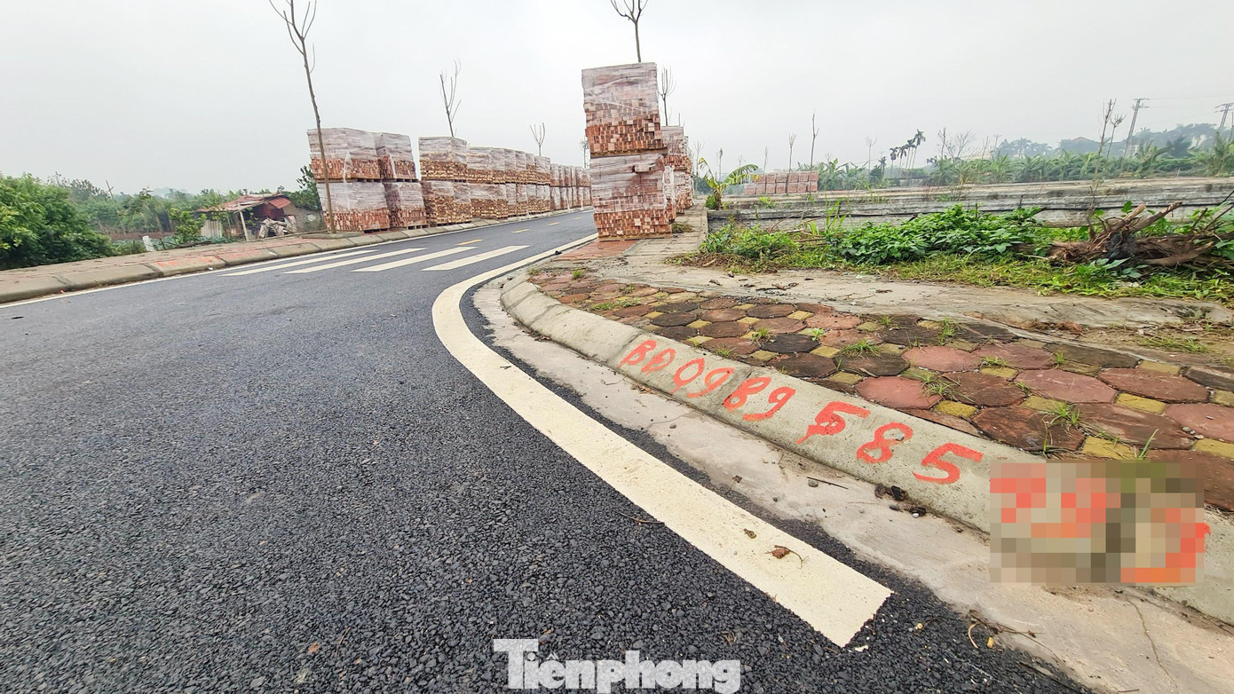 Cũng theo ghi nhận của PV, tại khu đất đấu giá khu chăn nuôi, xã Đồng Tháp xuất hiện nhan nhản thông tin rao bán, chuyển nhượng các lô đất trúng đấu giá.