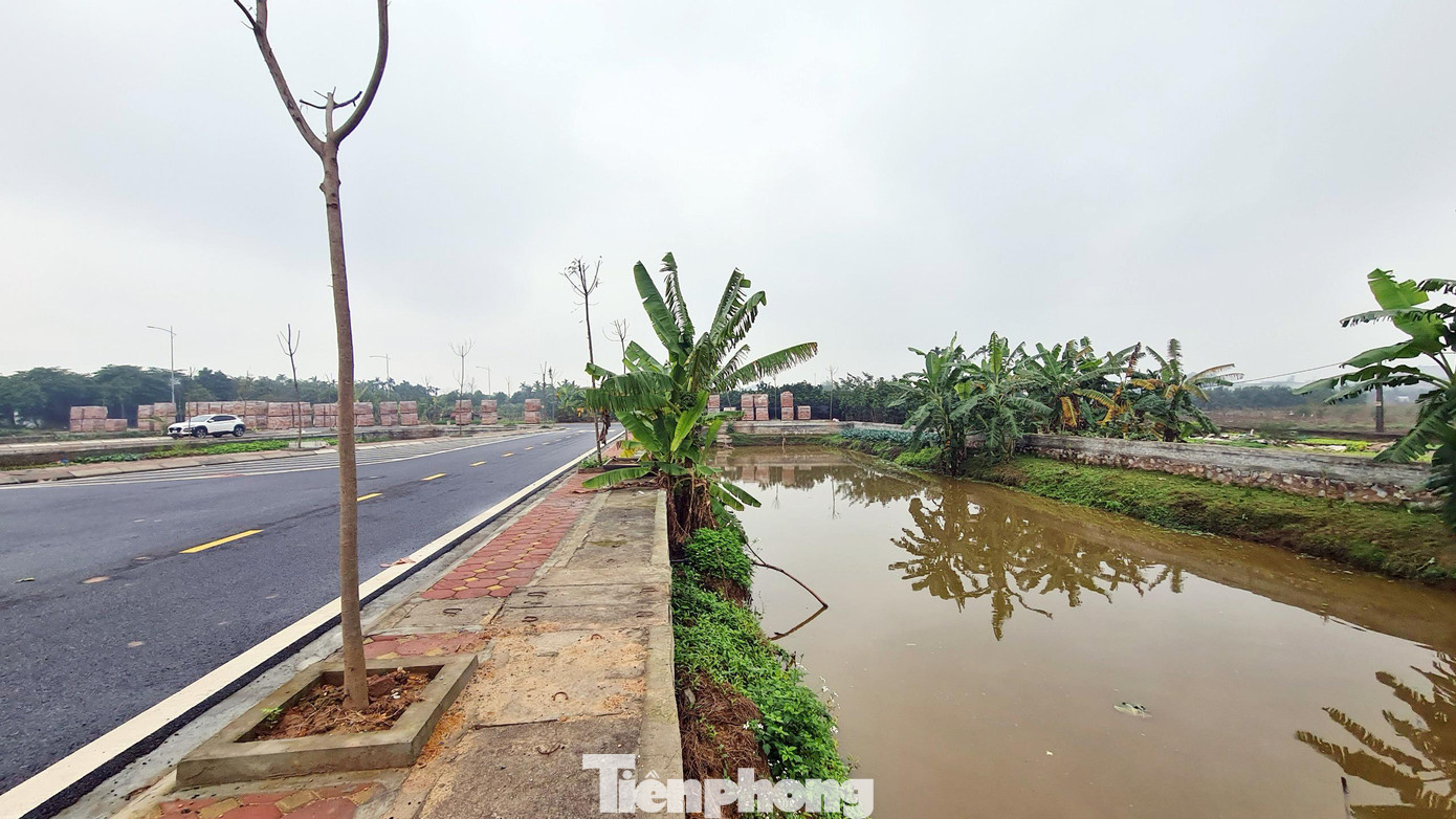 Kết luận thanh tra của Cục Bổ trợ tư pháp đã phát hiện Công ty đấu giá hợp danh Đông Á ban hành quy chế cuộc đấu giá có nội dung không đúng. Công ty này cũng không thông báo công khai ít nhất 2 lần trên báo in hoặc báo hình của Trung ương hoặc tỉnh, thành phố trực thuộc Trung ương, nơi có tài sản đấu giá, về việc thay đổi nội dung đấu giá đã được niêm yết, thông báo công khai.
