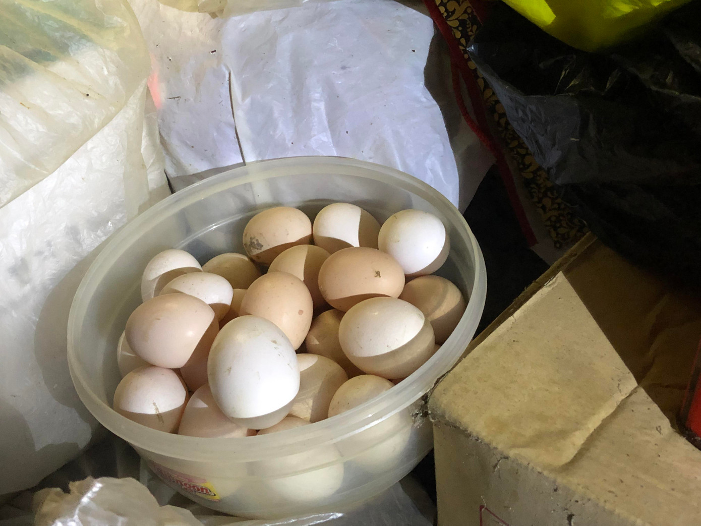 Cơ cực cuộc sống ở vùng lũ: Ba đêm thức trắng trên gác nhà chờ nước rút ảnh 8