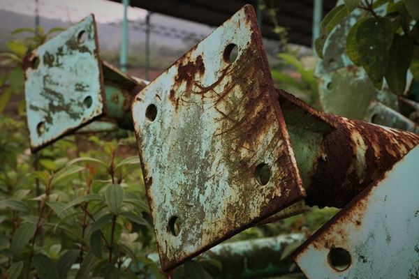 Cảnh hoang tàn bên trong dự án nuôi bò nghìn tỷ ở Hà Tĩnh ảnh 12