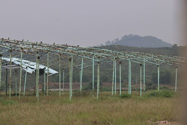 Cảnh hoang tàn bên trong dự án nuôi bò nghìn tỷ ở Hà Tĩnh ảnh 11