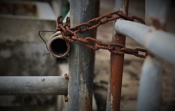 Cảnh hoang tàn bên trong dự án nuôi bò nghìn tỷ ở Hà Tĩnh ảnh 15