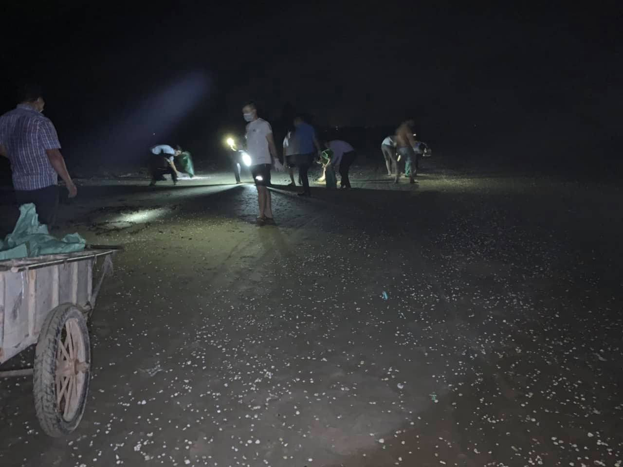 Cá chết trôi dạt gần 4km dọc bờ biển Hà Tĩnh ảnh 2