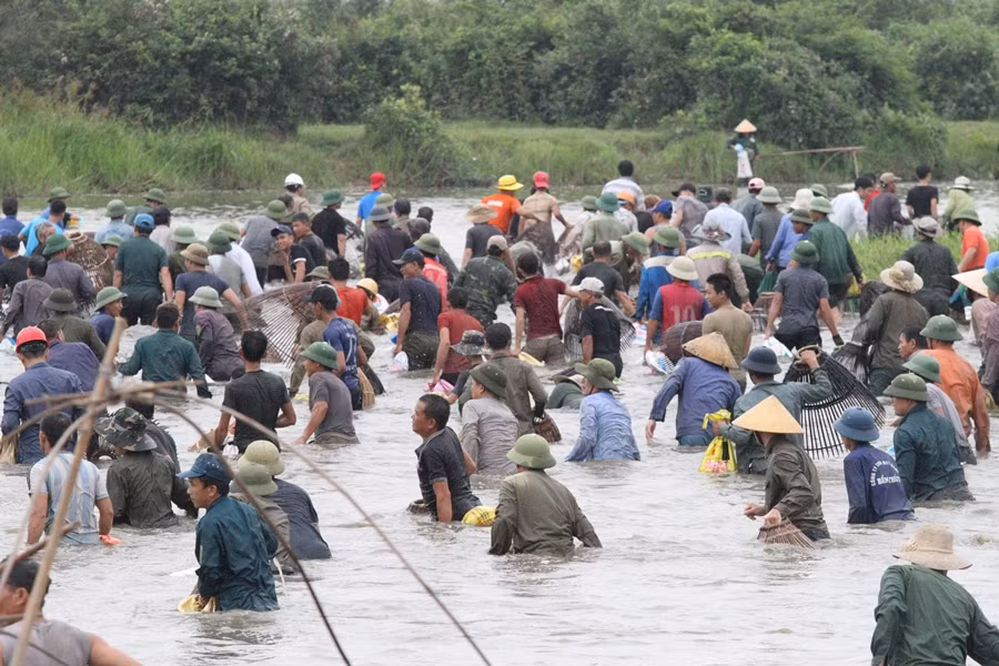 Dân Hà Tĩnh hò vang trời ào xuống đầm bắt cá cầu may ảnh 3