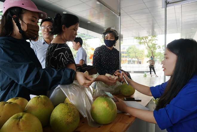 Tuổi trẻ Hà Tĩnh chung tay 'giải cứu' bưởi Phúc Trạch giúp dân vùng lũ ảnh 6