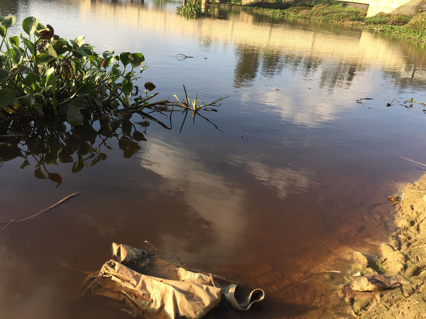 Hơn 4 nghìn hộ dân “khát” nước sạch do nước sông chuyển màu ảnh 2