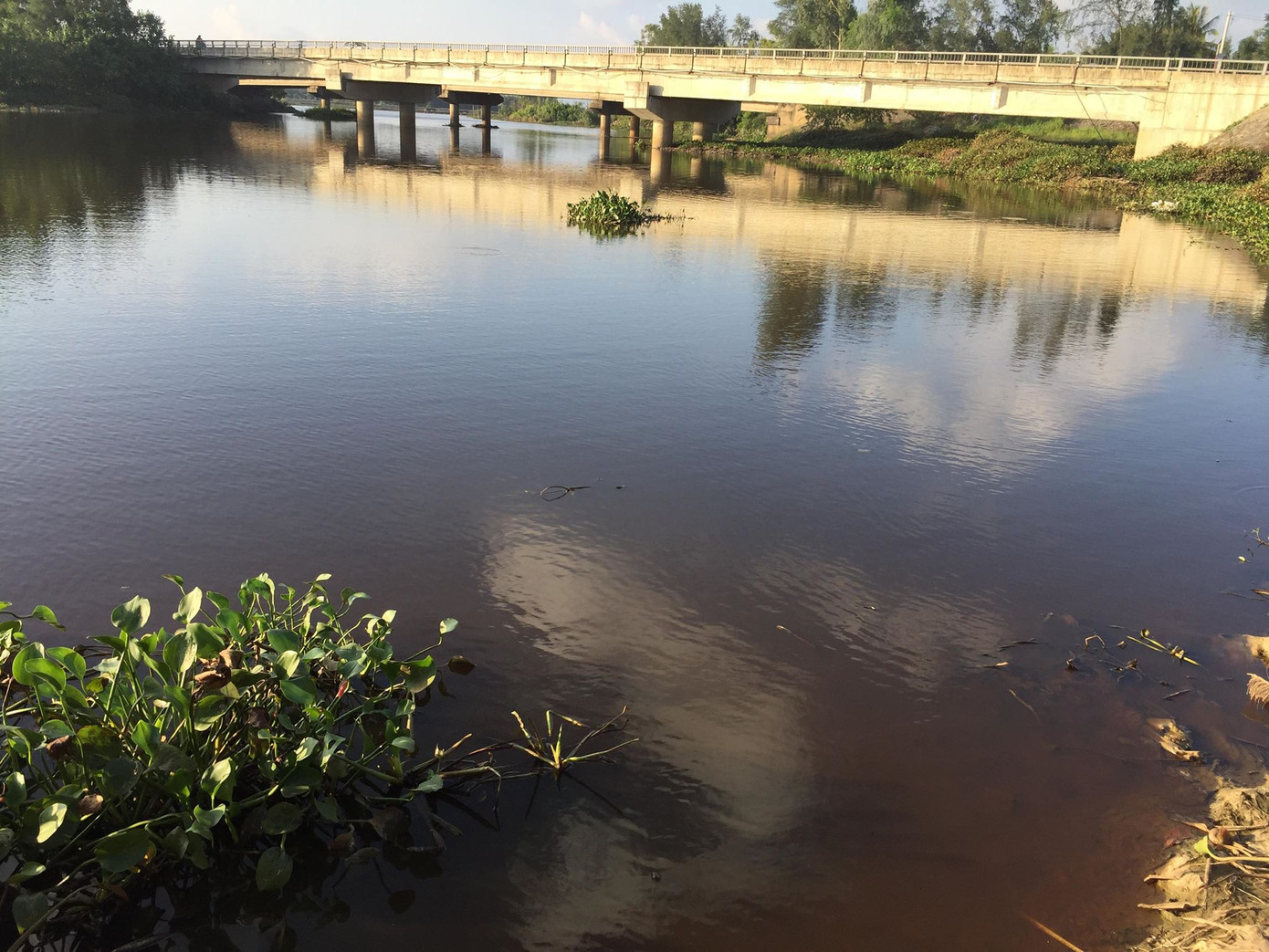 Hơn 4 nghìn hộ dân “khát” nước sạch do nước sông chuyển màu ảnh 5