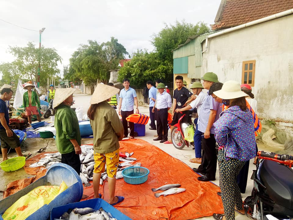 Nhiều hộ dân Hà Tĩnh trắng tay khi 100 tấn cá nuôi bất ngờ chết trong đêm ảnh 2