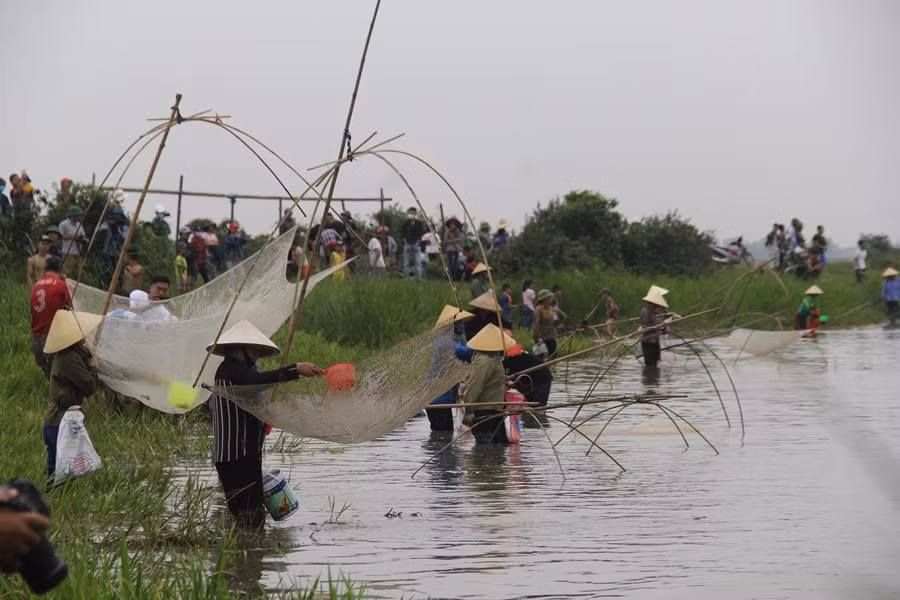 Dân Hà Tĩnh hò vang trời ào xuống đầm bắt cá cầu may ảnh 8