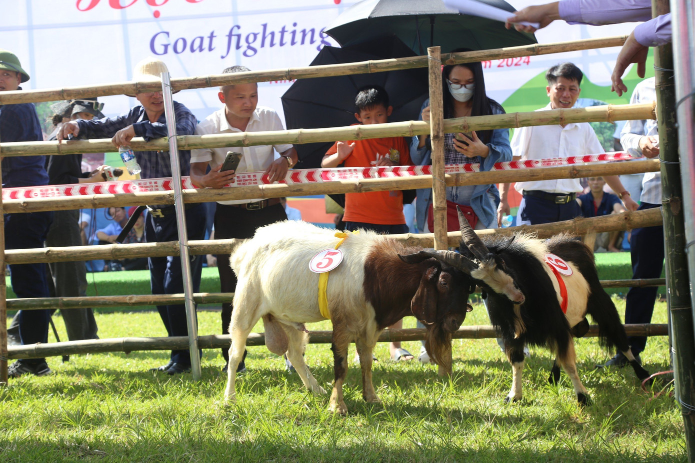 Những màn ra đòn "sinh tử". Ảnh: Minh Đường.