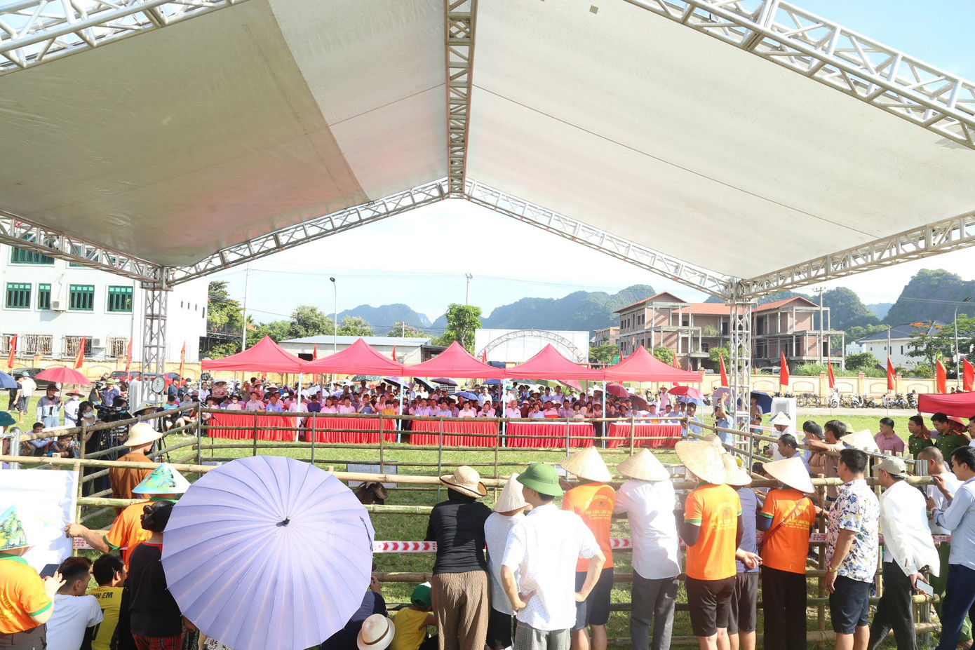 Khán giả thích thú với màn chọi dê. Ảnh: Minh Đường.