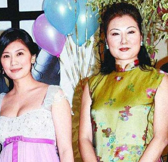 Sao Hoa ngữ cũng khổ khi 'Sống chung với mẹ chồng' ảnh 4