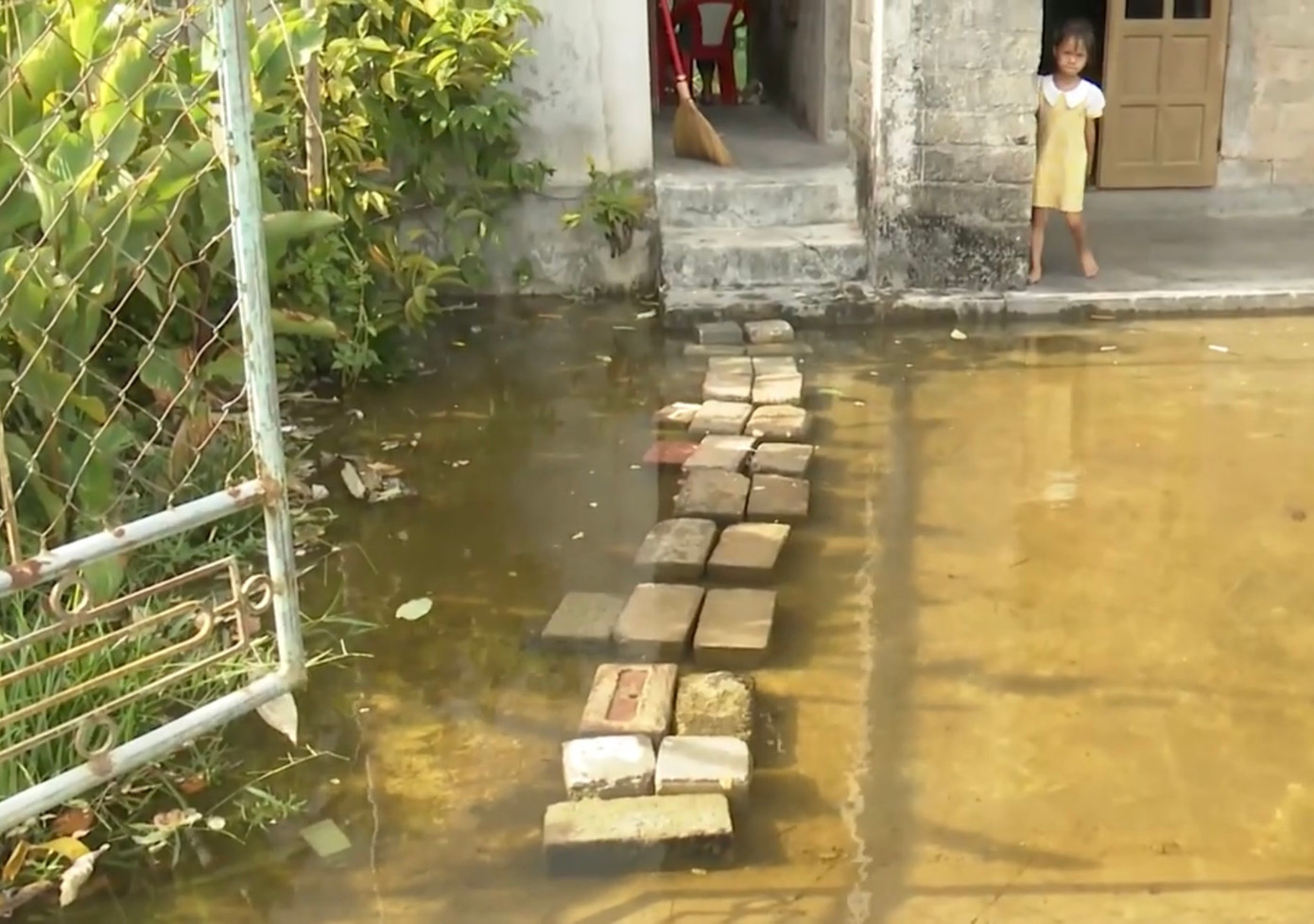 Nhiều hộ gia đình ở xã Quảng Sơn phải kê gạch làm lối đi trong sân, nhằm tránh bệnh ngoài da.