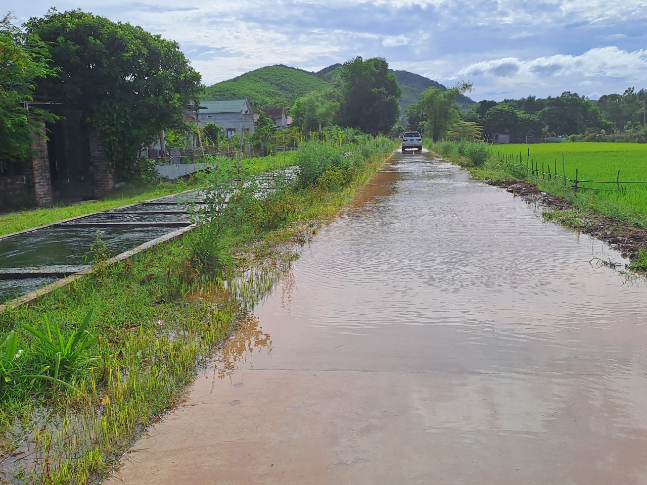 Ông Trần Hồng Quảng, Giám đốc Công ty TNHH MTV Khai thác công trình thuỷ lợi Quảng Bình cho biết: Kể từ khi đập tràn Rào Nan được đầu tư hơn 350 tỉ đồng để nâng cấp, nước dồi dào hơn, trong lúc hệ thống kênh mương bị xuống cấp nên không đáp ứng được công suất, khiến nước tràn ra ngoài. Công ty đã báo cáo lên tỉnh và trình phương án, trước mắt đầu tư 15 tỉ đồng để nâng bờ kênh mương lên thêm khoảng 60cm.