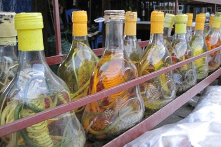 Rượu rắn rừng bán tràn lan ở Tam Đảo. Ảnh:Lao Động
