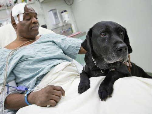 Ông Cecil Williams và chú chó Orlando. Ảnh: AP Ông Cecil Williams và chú chó Orlando