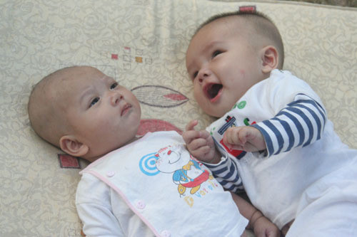 Nhiều bé được bố mẹ gửi vào chùa nuôi giùm, một thời gian sau lại tới đón. Hiện tại, 5 bé Khánh Linh, Cát Tường, Thảo và Bin, Bo sống ở chùa bằng nguồn đóng góp của các Phật Tử. Bin (trái) và Bo ngày mới được đưa về chùa, hồi sau Tết Quý Tỵ