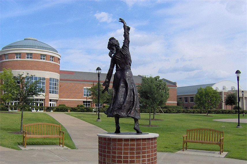 Trường lần lượt có các tên như: Cao đẳng Công nghiệp, Cao đẳng Mỹ thuật công nghiệp và Khoa học, Trường Cao đẳng bang Texas dành cho phụ nữ và sau này là Đại học nữ giới Texas