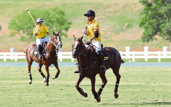 Bộ trưởng Malaysia thua 'tâm phục' hoàng tử Brunei ở SEA Games ảnh 1