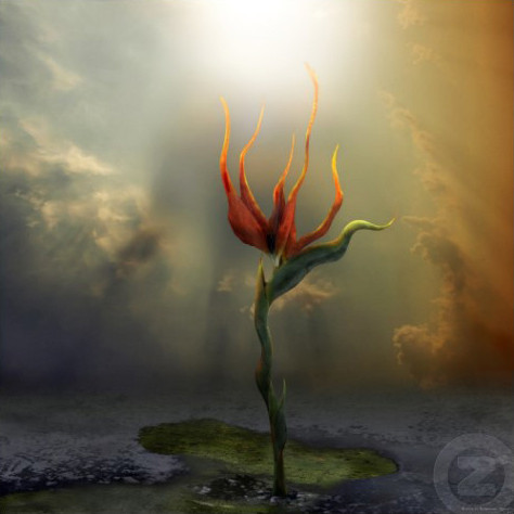 Nuôi dưỡng bóng đêm Một ngày trên bờ biển Hội hè đã hết Điềm báo của kỷ băng hà Cô đơn Cây bom nguyên tử Tò mò Đèn đường say xỉn Thâu tóm hoàn toàn Một lát cắt của San Francisco