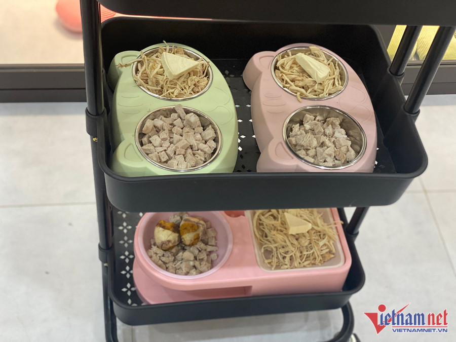 Thức ăn cho thú cưng cũng thuộc hàng cao cấp, đủ dinh dưỡng. Thức ăn cho thú cưng cũng thuộc hàng cao cấp, đủ dinh dưỡng.