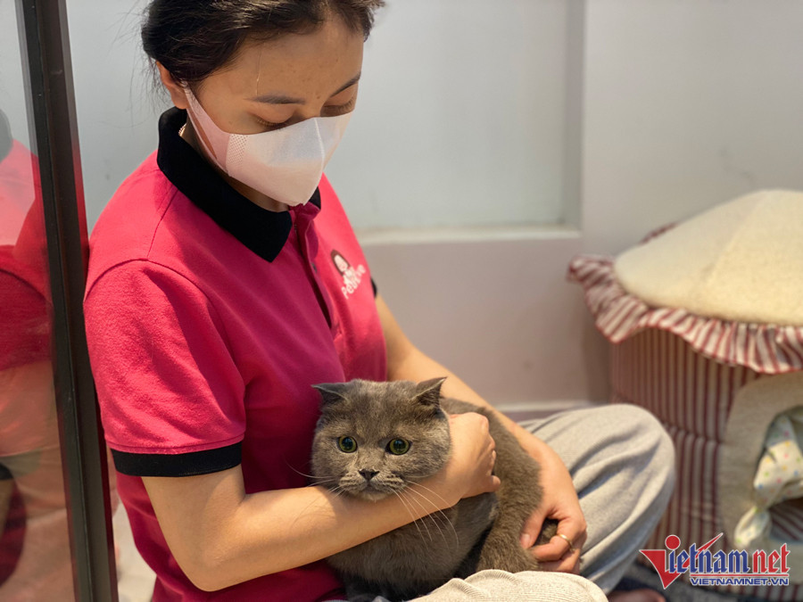 Nhân viên tại cơ sở của chị Hương phải có kĩ năng tốt. Nhân viên tại cơ sở của chị Hương phải có kĩ năng tốt.