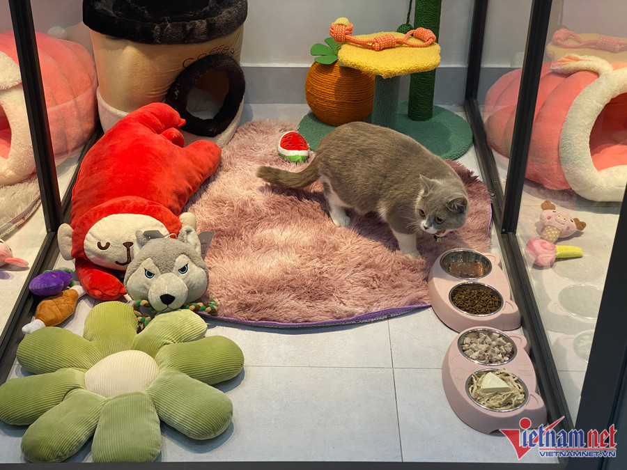 Chuồng của thú cưng được trang bị đầy đủ "chân ấm đệm êm". Chuồng của thú cưng được trang bị đầy đủ "chân ấm đệm êm".