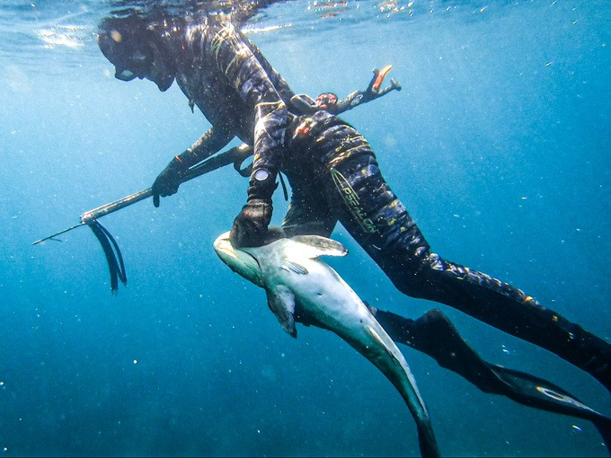 Nguyên từng trải nghiệm lặn biển ở nhiều vùng biển khác nhau. (Ảnh: NVCC) Nguyên từng trải nghiệm lặn biển ở nhiều vùng biển khác nhau. (Ảnh: NVCC)