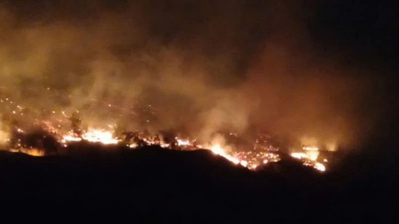 Đêm 12 đến sáng ngày 13/4 đã xảy ra 2 vụ cháy rừng trên địa bàn tỉnh Quảng Ninh.