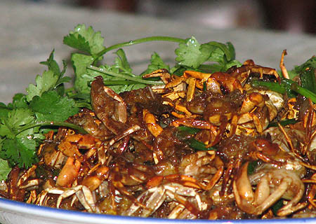 Ảnh: minh họa - Internet