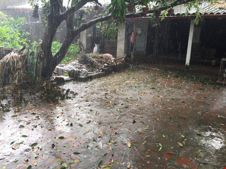 Mưa đá hiếm gặp bất ngờ đổ sầm sập xuống Hà Nội ảnh 1