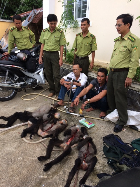 Hành trình vây bắt kẻ 'thảm sát' voọc nấu cao ảnh 1