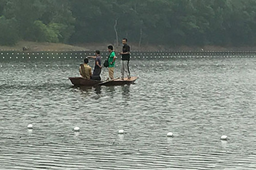 Giới bảo tồn hy vọng ghép đôi hai rùa Hoàn Kiếm hoang dã ảnh 1