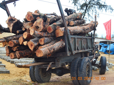 Xe chở gỗ bị người dân bắt giữ tại bìa rừng Ảnh: V.H