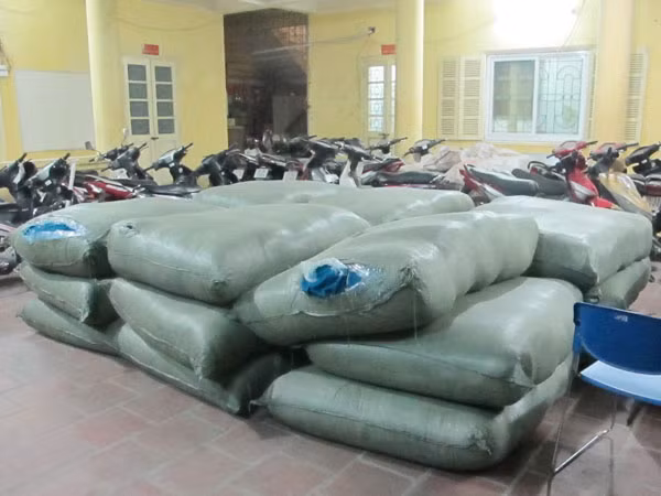 Hiện, cơ quan chức năng đang truy bắt chủ nhân của số lô hàng trên, đấu tranh, khai thác mở rộng