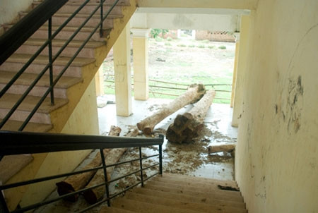 Trao đổi với PV, ông Nguyễn Văn Liên – Chủ tịch UBND xã Lại Thượng cho biết: “Phía UBND có mời Ban giám hiệu Trường Tiểu học Lại Thượng và trực tiếp là cô Chu Thị Bẩy -Hiệu trưởng nhà trường sang để bàn giao công trình. Nhưng BGH Nhà trường không chấp nhận do trường xây dựng chưa hoàn thiện; Nên mới để xảy ra tình trạng trường bỏ hoang trong suốt 3 năm qua”