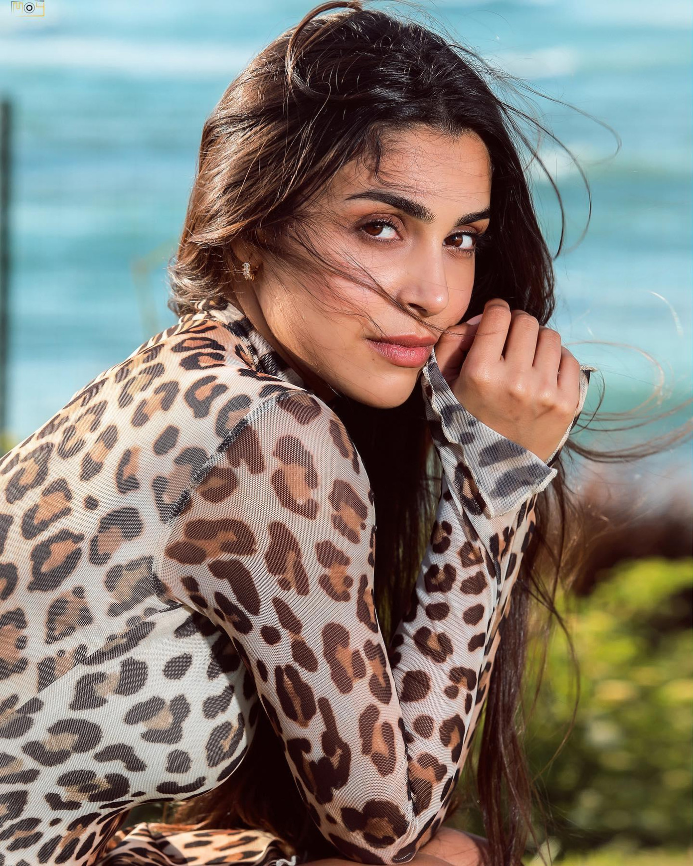 Lebanon từng có một lần giành chiếc vương miện vào năm 1971, tuy nhiên họ liên tục phải ra về trắng tay từ năm 1974 đến nay.