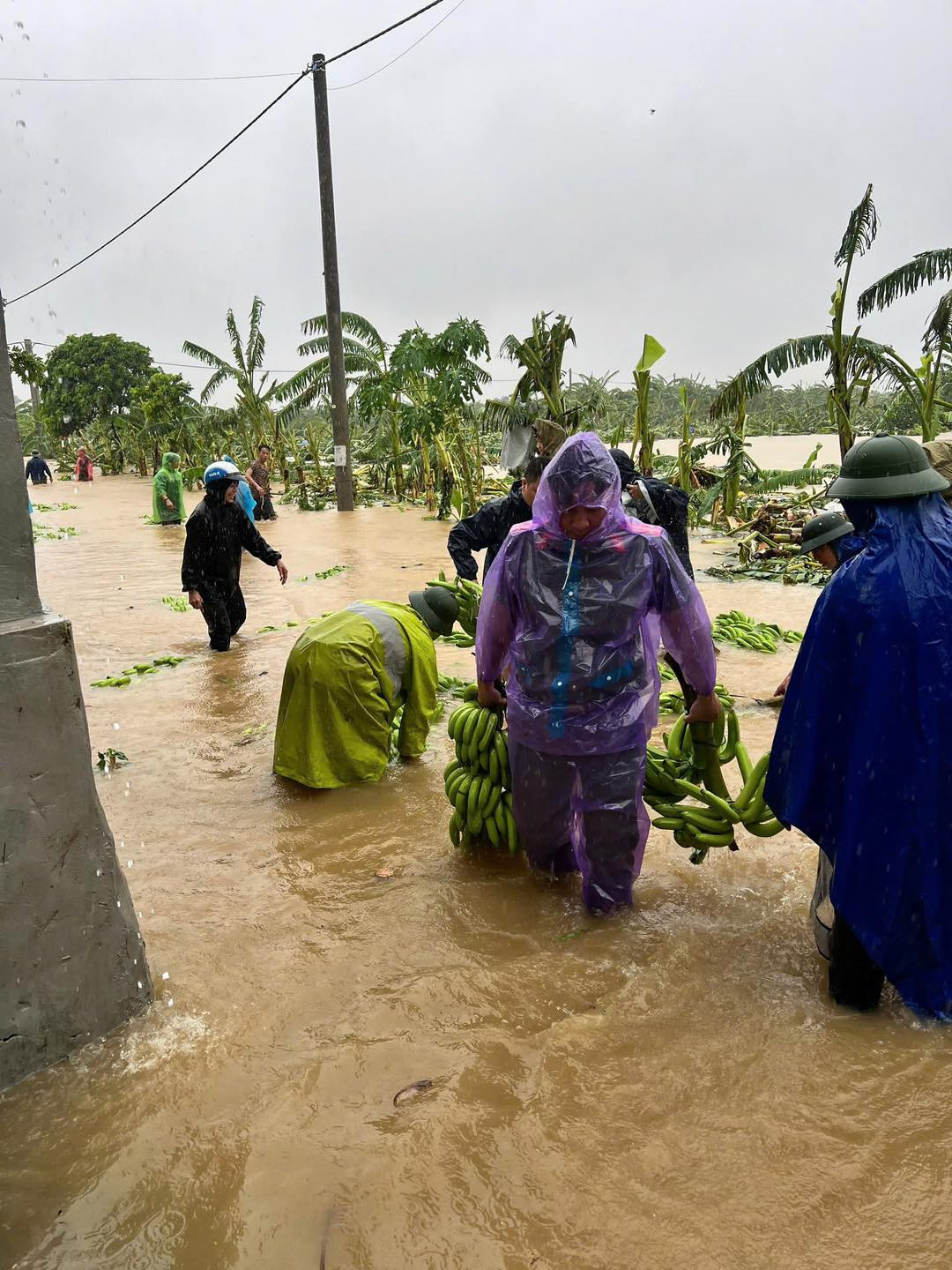 Công an huyện Gia Lâm huy động hơn 200 cán bộ, chiến sĩ tăng cường xuống các xã bị ngập, lụt vận động người dân đang sinh sống tại những nơi không đảm bảo an toàn di dời đến những nơi được chính quyền địa phương bố trí; giúp đỡ người dân di chuyển đồ đạc, vật nuôi khỏi vị trí ngập lụt, đồng thời đưa người dân (người già và trẻ nhỏ) đến khu vực an toàn; phối hợp với các ban, ngành trên địa bàn tổ chức vận chuyển, sử dụng các bao tải cát đắp, be bờ khu vực nước sông xâm lấn.