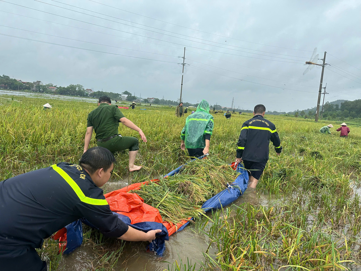 Trước diễn biến lũ trên các sông, hồ thủy lợi ngày càng dâng cao, tiếp tục có mưa lớn, Công an thị xã Sơn Tây đã huy động lực lượng, phương tiện phối hợp cùng các đơn vị liên quan tuyên truyền, vận động và hỗ trợ nhân dân ở các vùng có nguy cơ ảnh hưởng do nước lũ, bị ngập úng di dời tài sản, thu hoạch hoa màu đảm bảo an toàn.