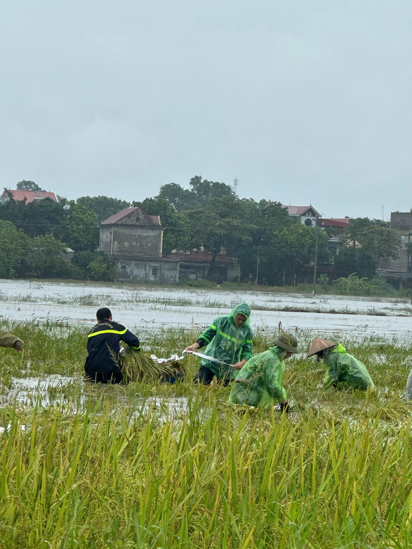 Trước diễn biến lũ trên các sông, hồ thủy lợi ngày càng dâng cao, tiếp tục có mưa lớn, Công an thị xã Sơn Tây đã huy động lực lượng, phương tiện phối hợp cùng các đơn vị liên quan tuyên truyền, vận động và hỗ trợ nhân dân ở các vùng có nguy cơ ảnh hưởng do nước lũ, bị ngập úng di dời tài sản, thu hoạch hoa màu đảm bảo an toàn.