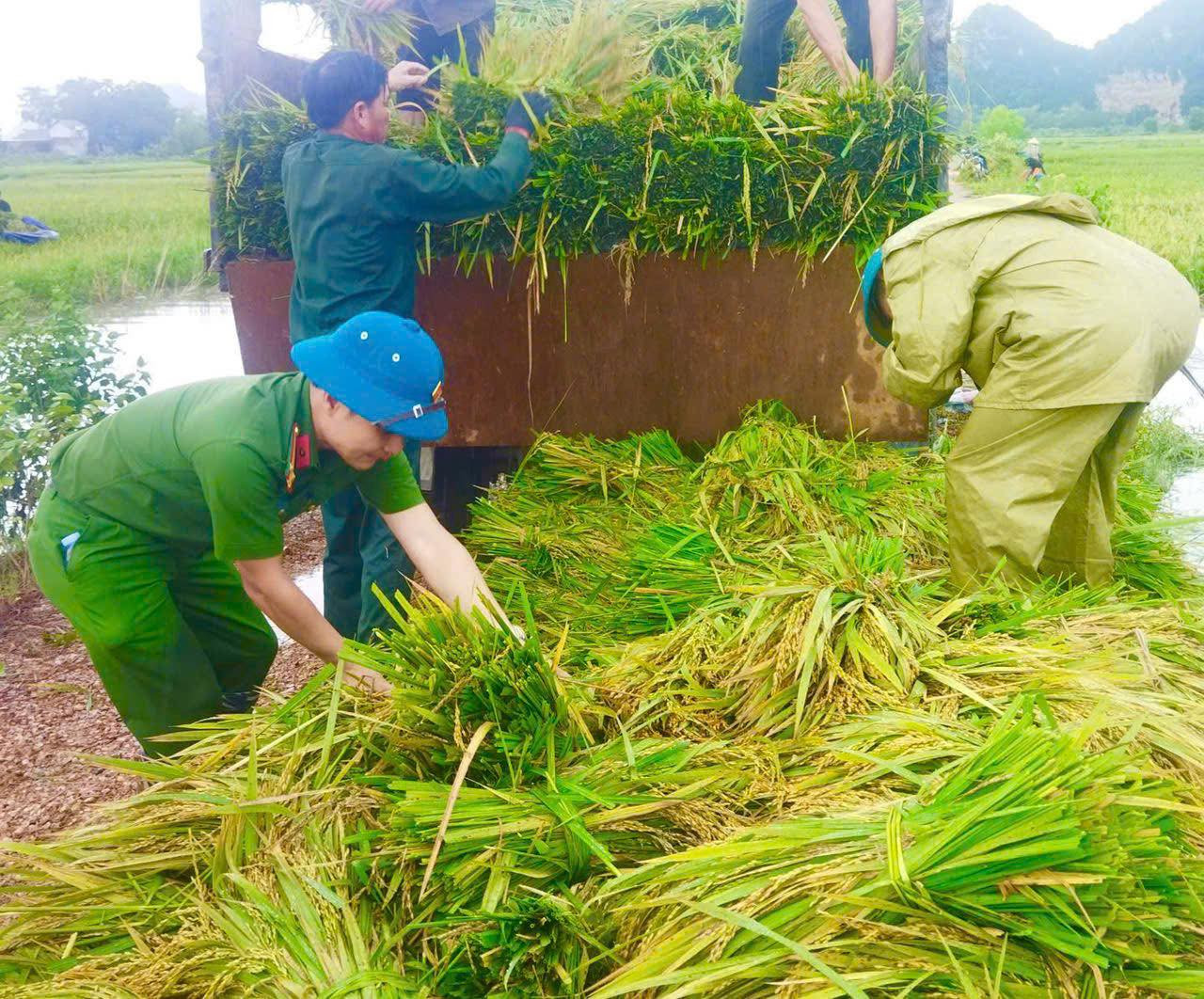 Với tinh thần vì nhân dân phục vụ, Công an huyện Mỹ Đức đã phối hợp với chính quyền địa phương và các lực lượng gia cố đê điều ngăn lũ, giúp các gia đình chính sách, neo đơn, bằng mọi biện pháp, kịp thời di chuyển nhiều tài sản và đẩy nhanh việc thu hoạch lúa chín, hoa màu, sát cánh cùng nhân dân vượt lũ.